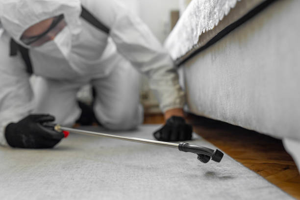 Professional Bed Bug Control technician working in Munroe Falls, OH